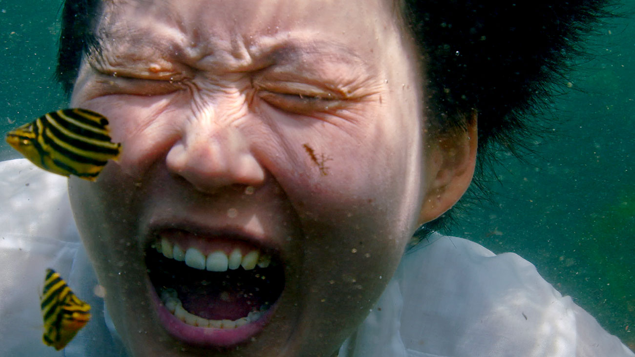 K-NOW! Korean Video Art Today